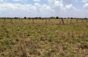 GUIDE ON UNDERSTANDING LAND SIZES AND MEASUREMENTS IN KENYA