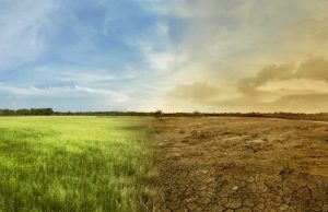 Kenya: President Signs the Climate Change (Amendment) Bill 2023 Ahead of International Climate Summit