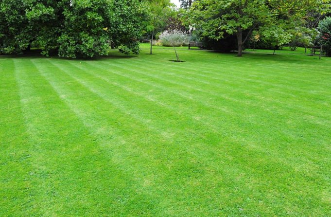 How Can a Foreigner Own Property in Kenya?