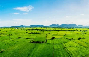 Understanding Land Ownership in Kenya Understanding Land Ownership in Kenya