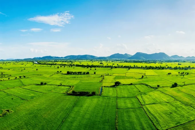 Understanding Land Ownership in Kenya Understanding Land Ownership in Kenya