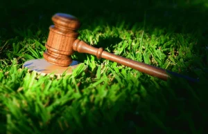 Environmental, Social, and Governance (ESG) Compliance in Kenyan Corporate Law