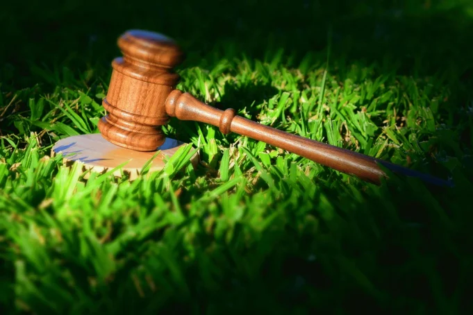 Environmental, Social, and Governance (ESG) Compliance in Kenyan Corporate Law