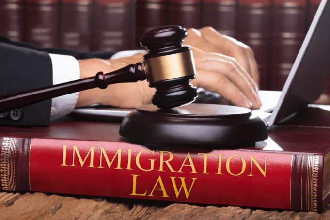 Legal Opinions on Immigration Law in Kenya Legal Opinions on Immigration Law in Kenya